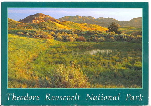 Theodore Roosevelt National Park, ND - Carey's Emporium
