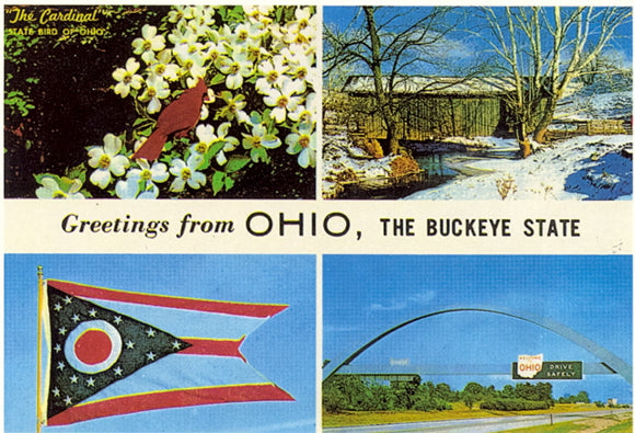 Greetings From Ohio - Carey's Emporium