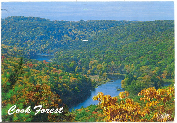 Seneca Point View, Cook Forest State Park, PA - Carey's Emporium
