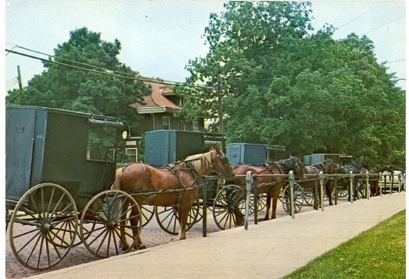 Amish Buggies, Millersburg, OH - Carey's Emporium
