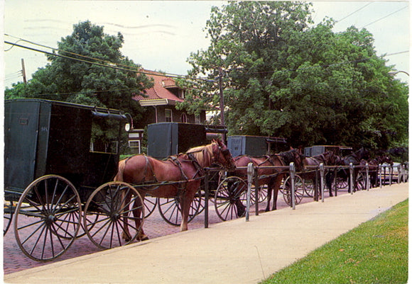 Amish Buggies, Millersburg, OH - Carey's Emporium