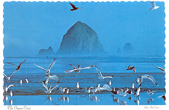 Haystack Rock and Seagulls on the Oregon Coast - Carey's Emporium