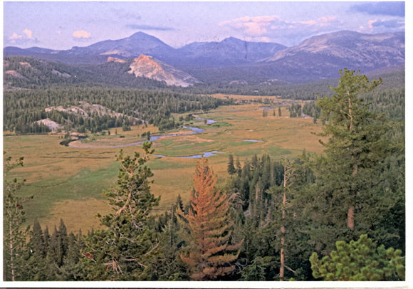 Tuolumne Meadows and river at sunset, Yosemite National Park - Carey's Emporium