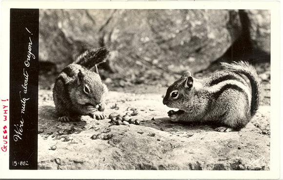 We're Nuts About Oregon! - Carey's Emporium