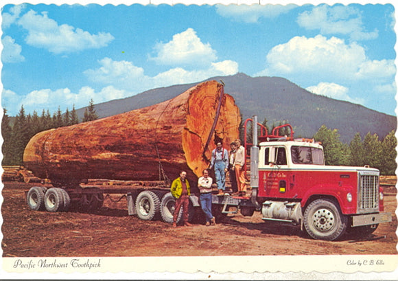 Pacific Northwest Toothpick, Oregon - Carey's Emporium