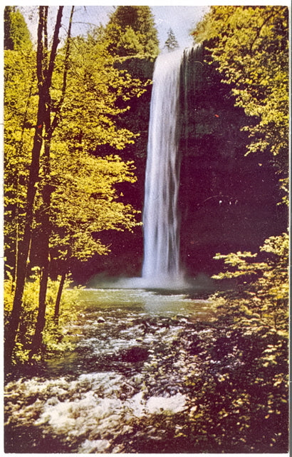 Main South Silver Creek Falls, OR - Carey's Emporium