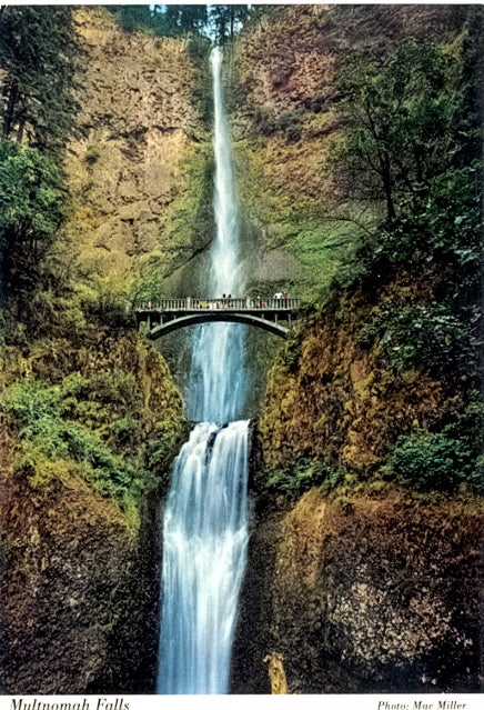 Multnomah Falls, Columbia River Highway, OR - Carey's Emporium