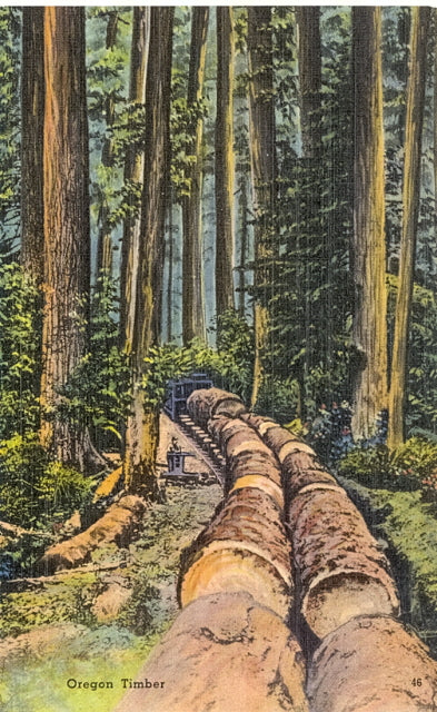 Oregon Timber - Carey's Emporium