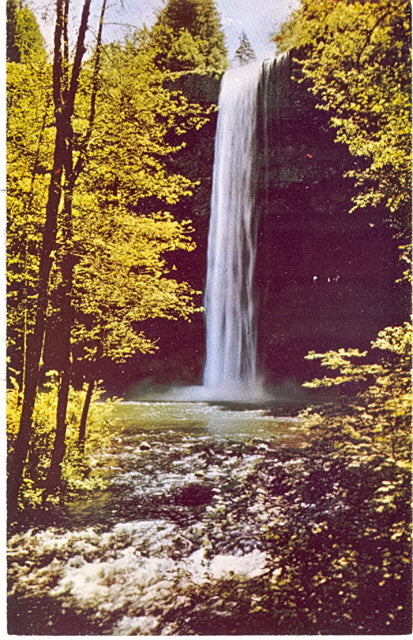 Main South Silver Creek Falls, OR - Carey's Emporium