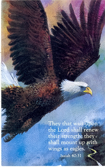 Eagle - Carey's Emporium