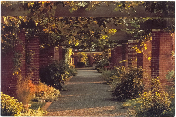 Chicago Botanic Garden, Glencoe, IL - Carey's Emporium