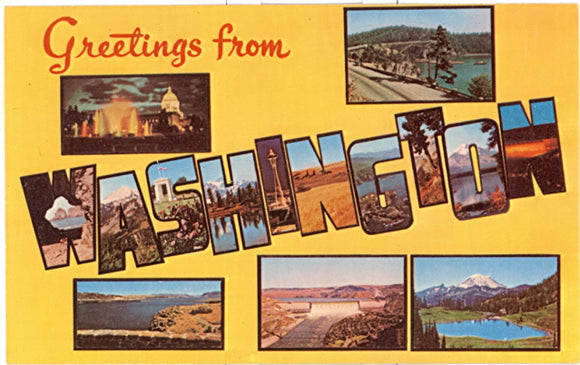 Greetings From Washington Large Letter - Carey's Emporium