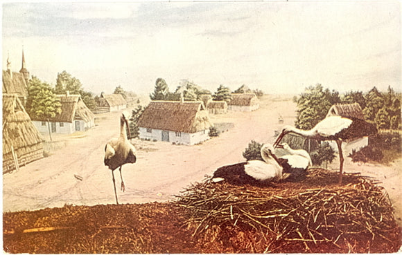 Chicago Natural History Museum, Chicago, IL - Carey's Emporium