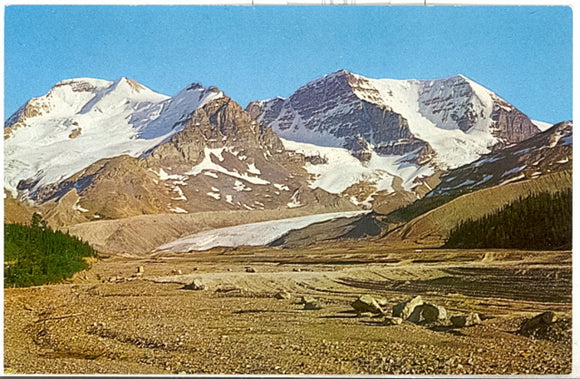 Mt. Athabasca, Jasper National Park, Alberta - Carey's Emporium