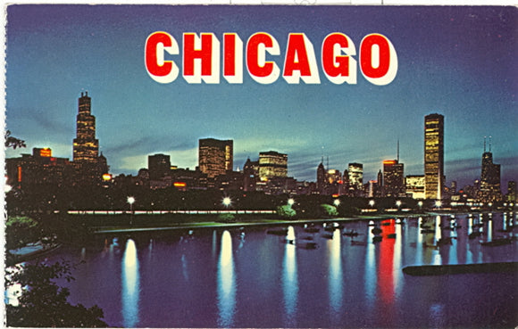 Chicago's Picturesque Night Skyline as Seen From the Shedd Aquarium, Chicago, IL - Carey's Emporium