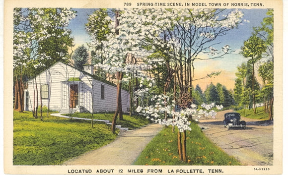 Spring-Time Scene in Model Town of Norris, TN - Carey's Emporium