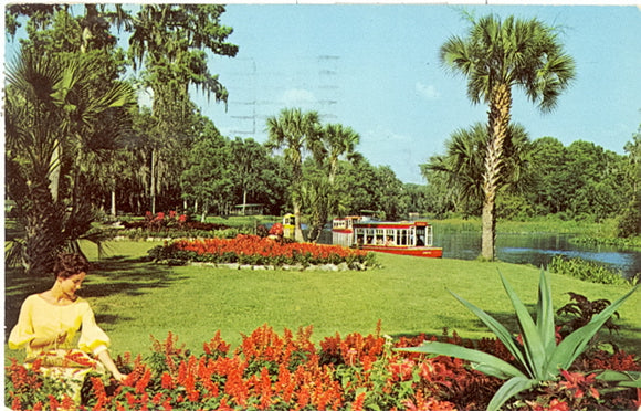 A Beautifully Landscaped Park Borders the Silver River at Florida's Silver Springs - Carey's Emporium