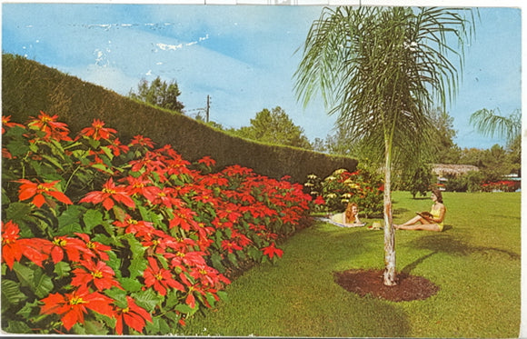 Weeki Wachee, FL - Carey's Emporium