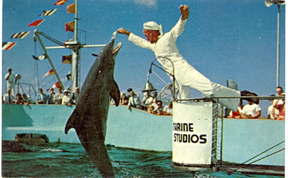 Hand Feeding Jumping Porpoises, Marine Studios, Marineland, FL - Carey's Emporium