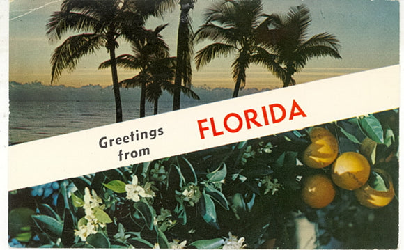 Greetings From Florida - Carey's Emporium