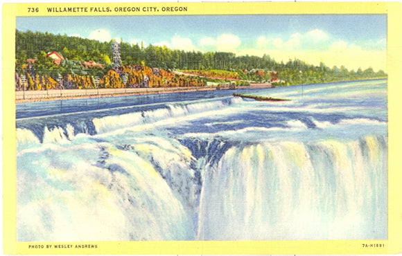 Willamette Falls, Oregon City, OR - Carey's Emporium