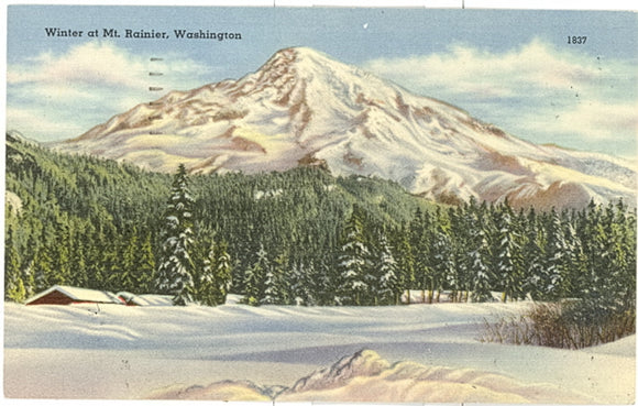 Winter at Mt. Rainier, WA - Carey's Emporium