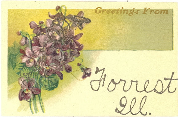 Greetings from Forrest, IL - Carey's Emporium