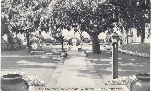 The Carlsbad Hotel and Mineral Springs, Carlsbad, CA - Carey's Emporium