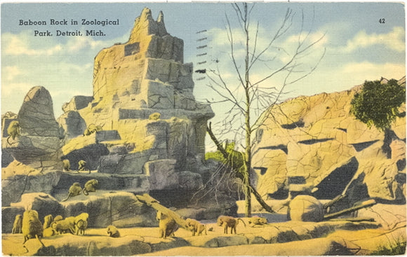 Baboon Rock in Zoological Park, Detroit, MI - Carey's Emporium