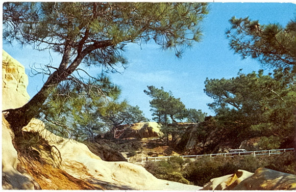 The Torrey Pines, La Jolla, CA - Carey's Emporium