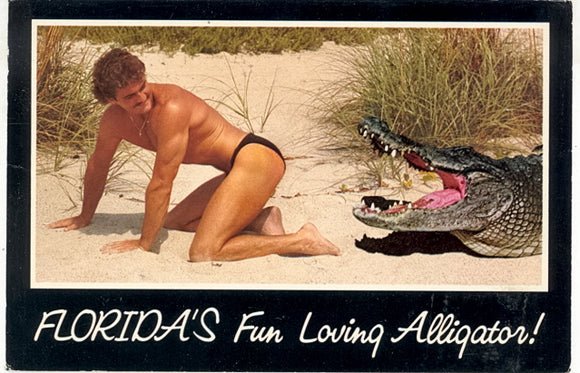 Florida's Fun Loving Alligator! - Carey's Emporium