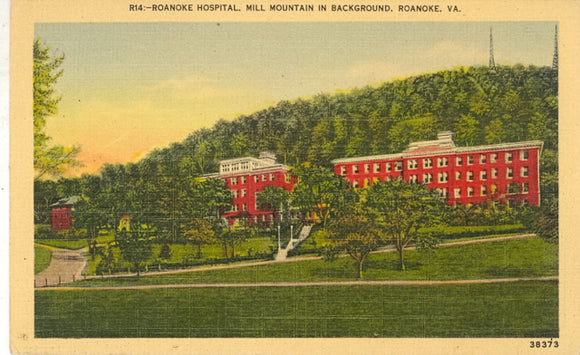Roanoke Hospital, Mill Mountain in Background, Roanoke, VA - Carey's Emporium