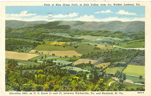 View of Blue Grass Trail, in Rich Valley from Big Walker Lookout, VA - Carey's Emporium