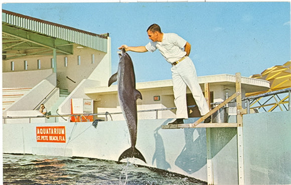 Aquatarium, St. Petersburg Beach, FL - Carey's Emporium