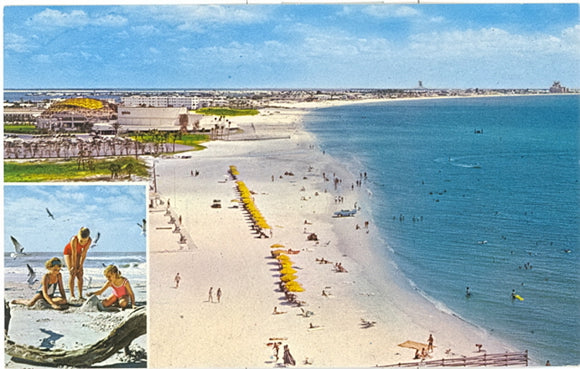 St. Petersburg Beach, FL - Carey's Emporium