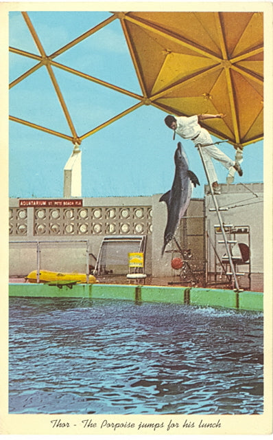 Aquatarium, St. Petersburg Beach, FL - Carey's Emporium