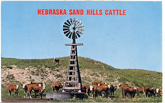 Nebraska Sand Hills Cattle - Carey's Emporium