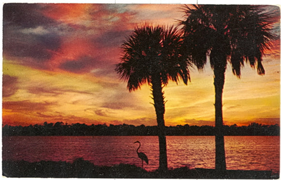Beautiful Florida Sunset - Carey's Emporium