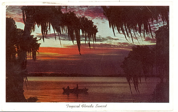 Tropical Florida Sunset - Carey's Emporium