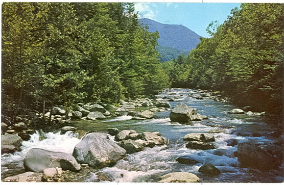 Little Pigeon River, Great Smoky Mountains National Park - Carey's Emporium