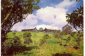 The Bluffs Lodge in Doughton Park, Blue Ridge Parkway, NC - Carey's Emporium