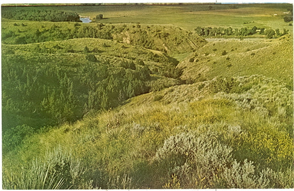 Custer National Monument, MT - Carey's Emporium