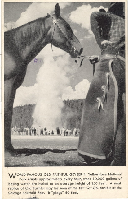 World-Famous Old Faithful Geyser - Carey's Emporium