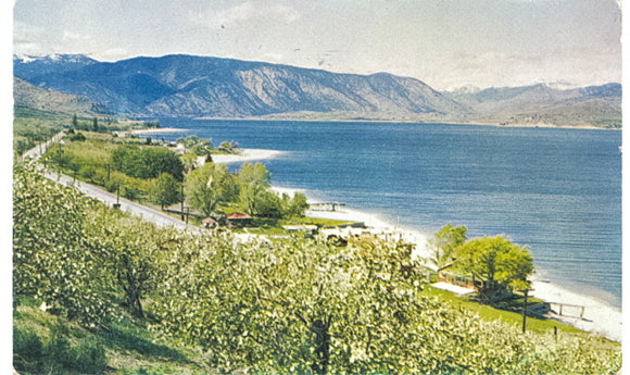 Apple Blossom Time on Lake Chelan, WA - Carey's Emporium