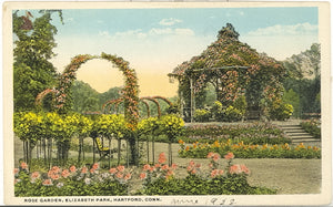 Rose Garden, Elizabeth Park, Hartford, CT - Carey's Emporium