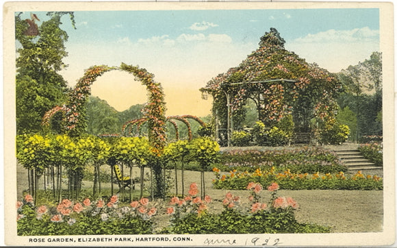 Rose Garden, Elizabeth Park, Hartford, CT - Carey's Emporium