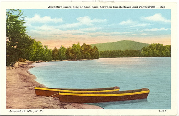 Attractive Shore Line of Loon Lake between Chestertown and Pottersville, Adirondacks Mts., NY - Carey's Emporium
