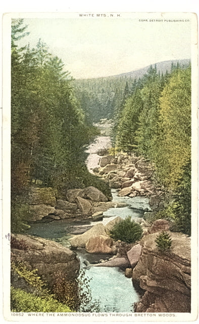 Where the Ammonoosuc Flows Through Bretton Woods, White Mountains, NH - Carey's Emporium