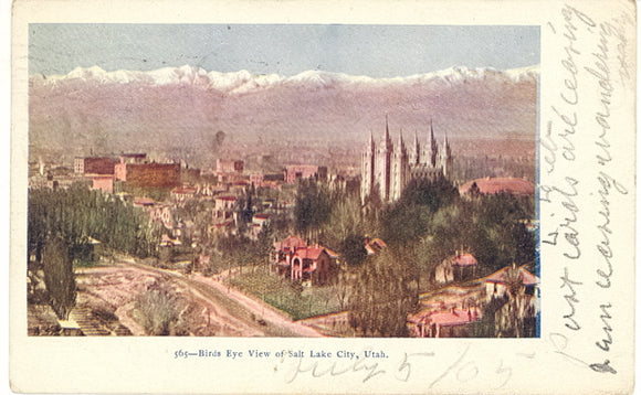 Birds Eye View of Salt Lake City, UT - Carey's Emporium
