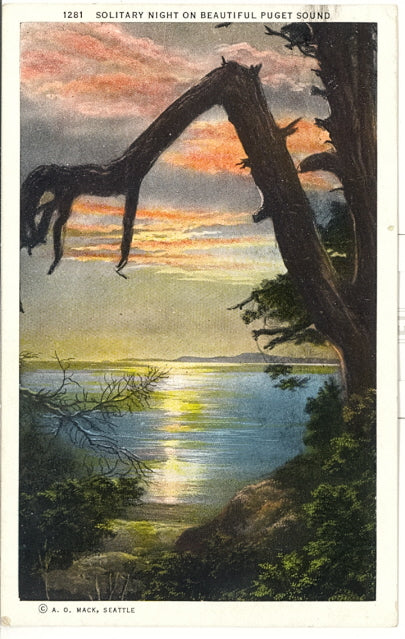Solitary Night on Beautiful Puget Sound - Carey's Emporium